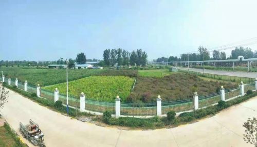 深水海納山東曹縣莊寨污水處理廠及配套管網PPP項目與人工濕地協同生態治理研究