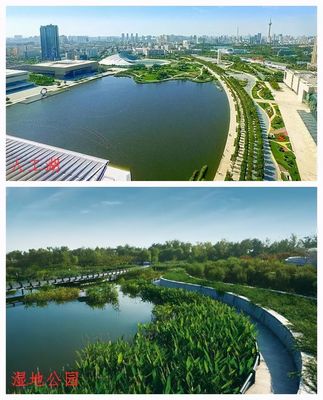 濱河人工湖變濕地公園 從大處看是好事，人工濕地的生態(tài)啟示