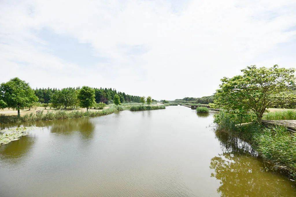 走近人工濕地,共建生態(tài)園區(qū)_保護(hù)